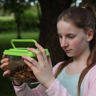 Caja de Estudio de Insectos